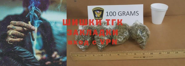 прущий лед Алзамай