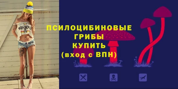 прущий лед Алзамай