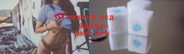 прущий лед Алзамай