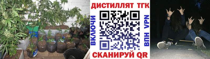KRAKEN tor где купить наркотик Мураши ТГК Wax