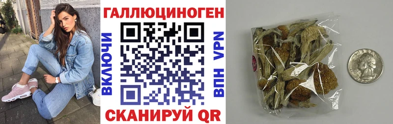 Галлюциногенные грибы мухоморы  купить закладку  Мураши 